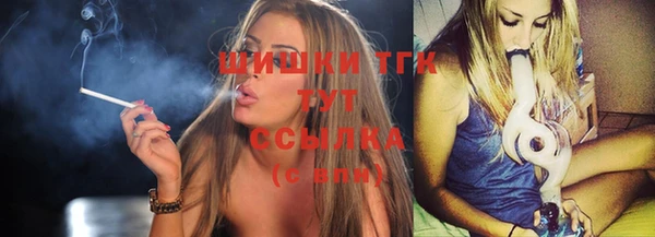 ешки Аркадак