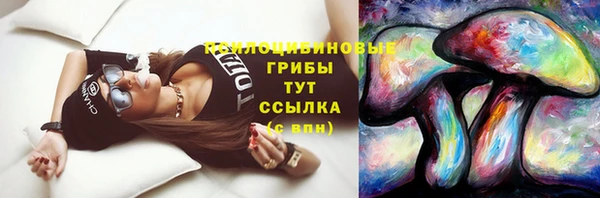 ешки Аркадак