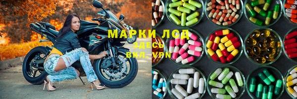 ешки Аркадак