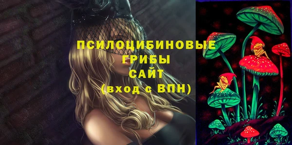 ПСИЛОЦИБИНОВЫЕ ГРИБЫ Баксан