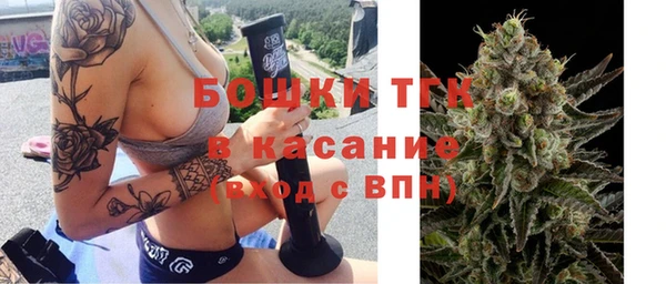 ГАЛЛЮЦИНОГЕННЫЕ ГРИБЫ Балабаново