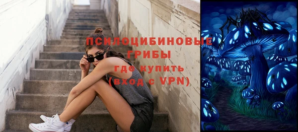 ешки Аркадак