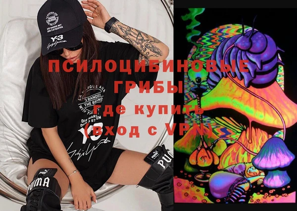 ешки Аркадак