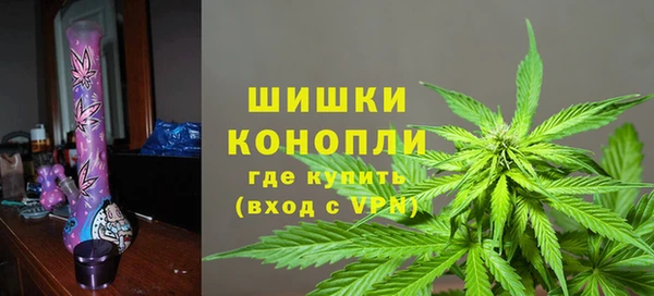 ешки Аркадак