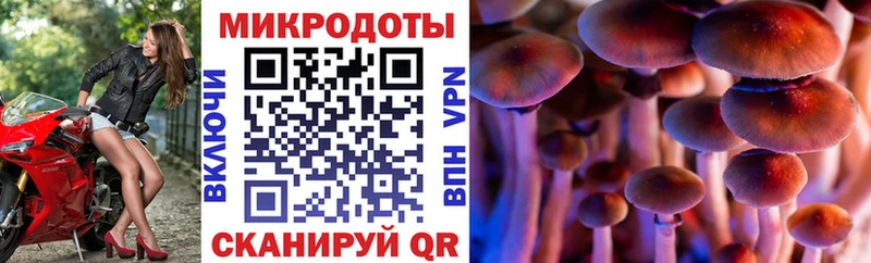 Псилоцибиновые грибы Psilocybine cubensis  где купить наркотик  Льгов 
